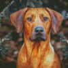 Rhodesian Ridgeback diamond painting