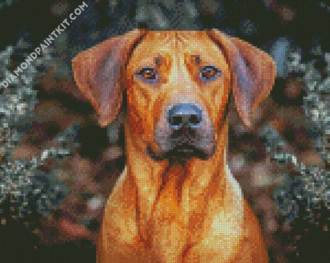 Rhodesian Ridgeback diamond painting