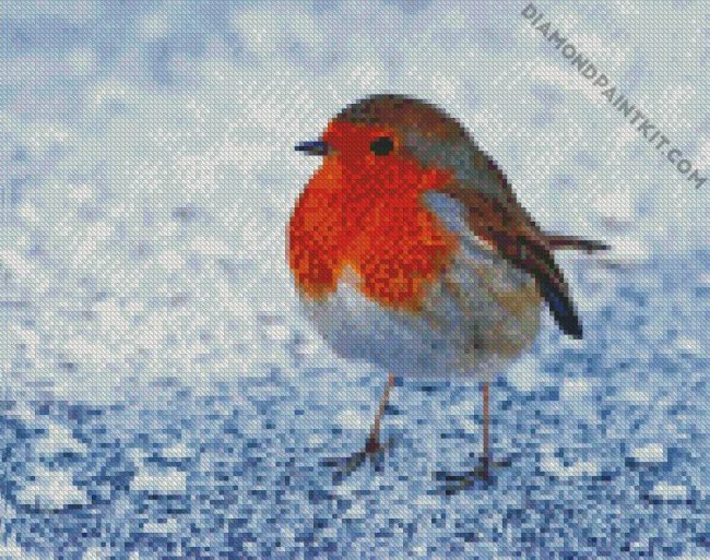 Robin Bird diamond painting