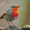 Robin Bird Illustration diamond painting