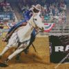 Rodeo Art diamond painting