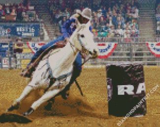 Rodeo Art diamond painting