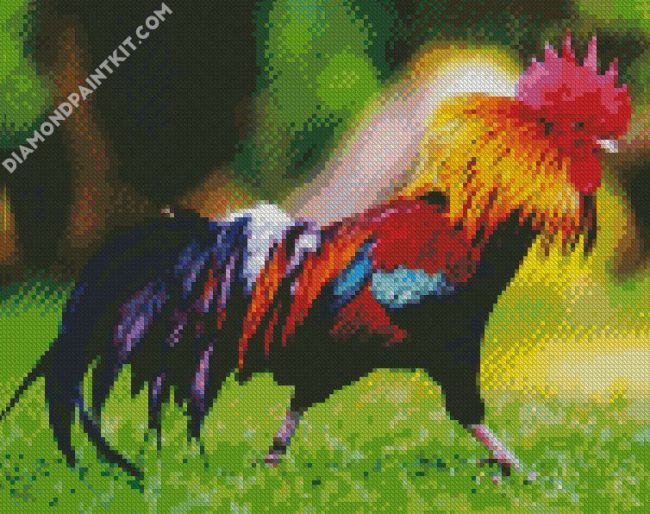 Rooster diamond painting