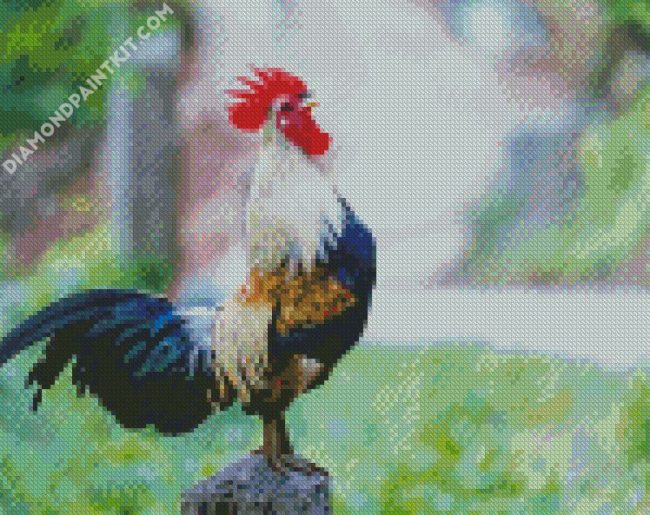 Rooster Bird diamond painting