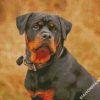 Rottweiler Dog Animal diamond painting