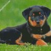 Rottweiler Puppy diamond painting