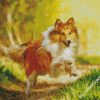 Running Sheepdog diamond painting