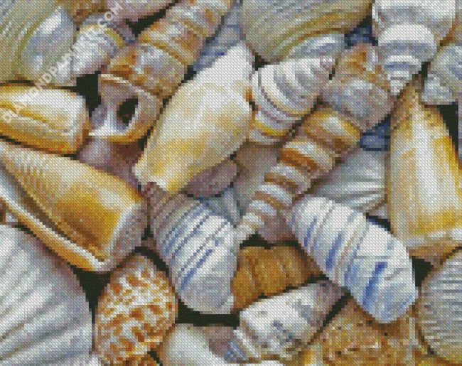 Seashell diamond painting