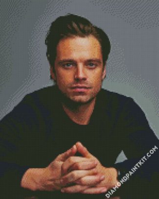 Sebastian Stan diamond painting