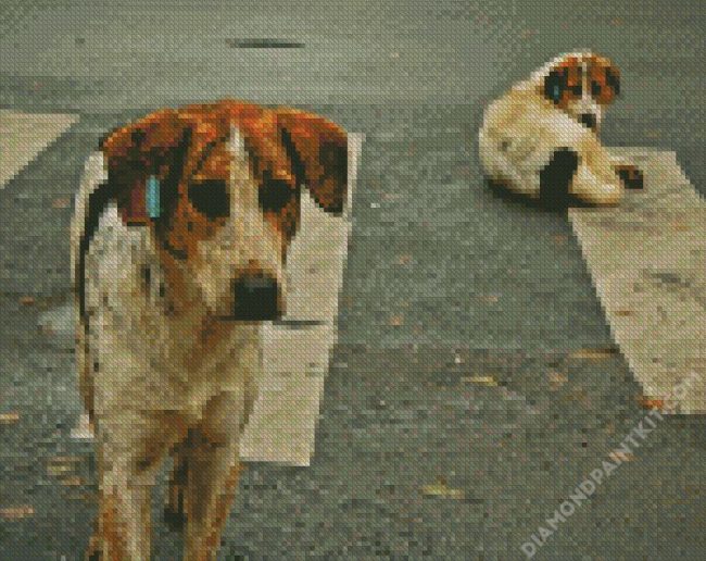 Street Dog diamond painting