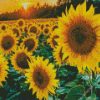 Sunflowers diamond painting