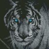 Tiger With Blue Eyes diamond painting