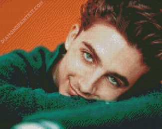 Actor Timothee Chalamet diamond painting