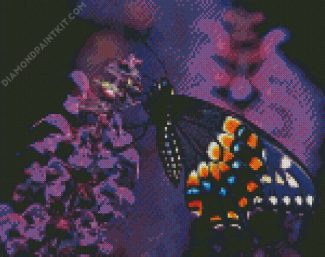 Black Swallowtail Butterfly diamond painting