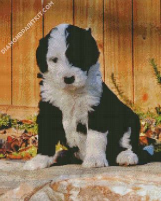 Black And White Sheepadoodle Dog diamond painting