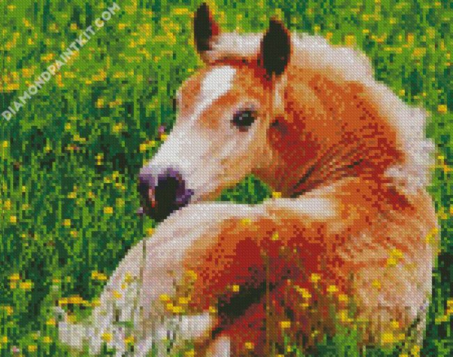 Blonde Pony diamond painting