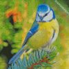 Blue Tit Bird diamond painting