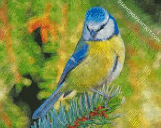 Blue Tit Bird diamond painting