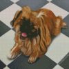 Brown Pekingese Dog diamond painting