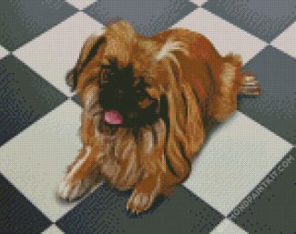 Brown Pekingese Dog diamond painting