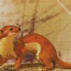 Brown Stoat Weasel diamond painting