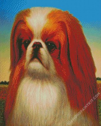 Cute Pekingese Dog diamond painting