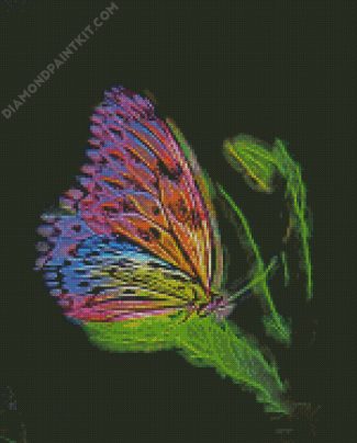 Fantasy Butterfly diamond painting