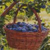 Fresh Plums Basket diamond painting