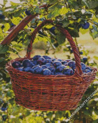 Fresh Plums Basket diamond painting