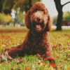 Labradoodle Dog diamond painting