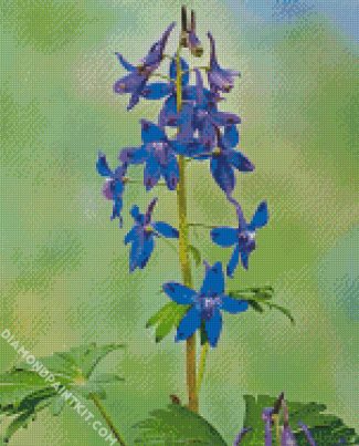 Larkspur Flowering Plant diamond painting