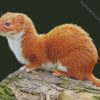 Least Weasel diamond painting