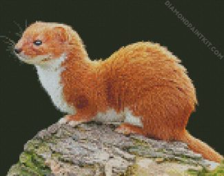 Least Weasel diamond painting