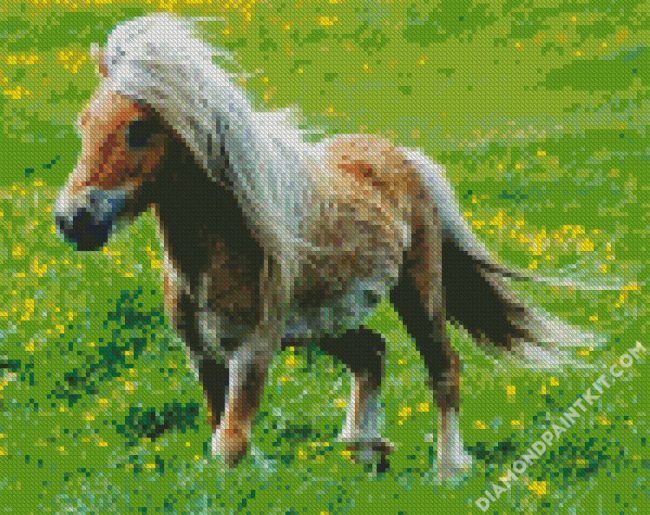 Little Pony diamond painting