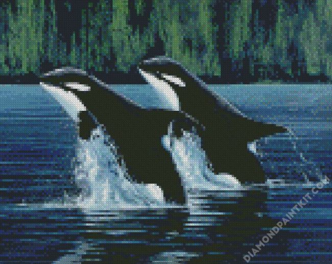 Mother And Son Orca diamond painting