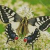 Old World Swallowtail diamond painting