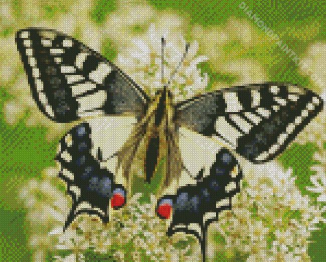 Old World Swallowtail diamond painting