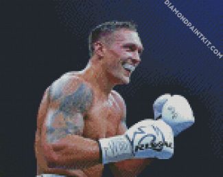 Oleksandr Usyk diamond painting