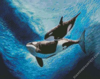 Orca Underwater diamond painting