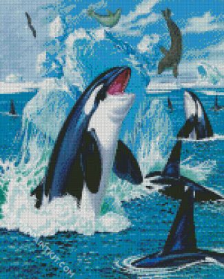 Orcas And Seals diamond painting