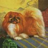 Pekingese Dog Art diamond painting