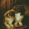 Pekingese Dogs diamond painting