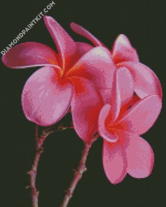 Pink Plumeria diamond painting