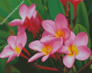 Pink Plumeria Frangipani diamond painting