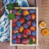 Plums Fruit diamond painting