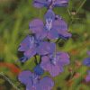 Purple Larkspur diamond painting