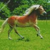 Running Pony In Field diamond painting