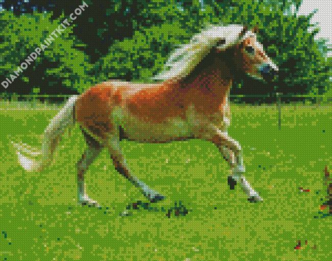 Running Pony In Field diamond painting