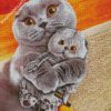 Scottish Fold Cats diamond painting