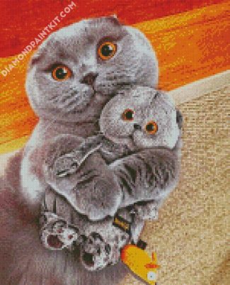 Scottish Fold Cats diamond painting